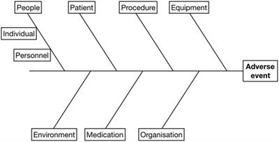 Morbidity and Mortality Conferences: A Mini Review and Illustrated Application in Veterinary Medicine